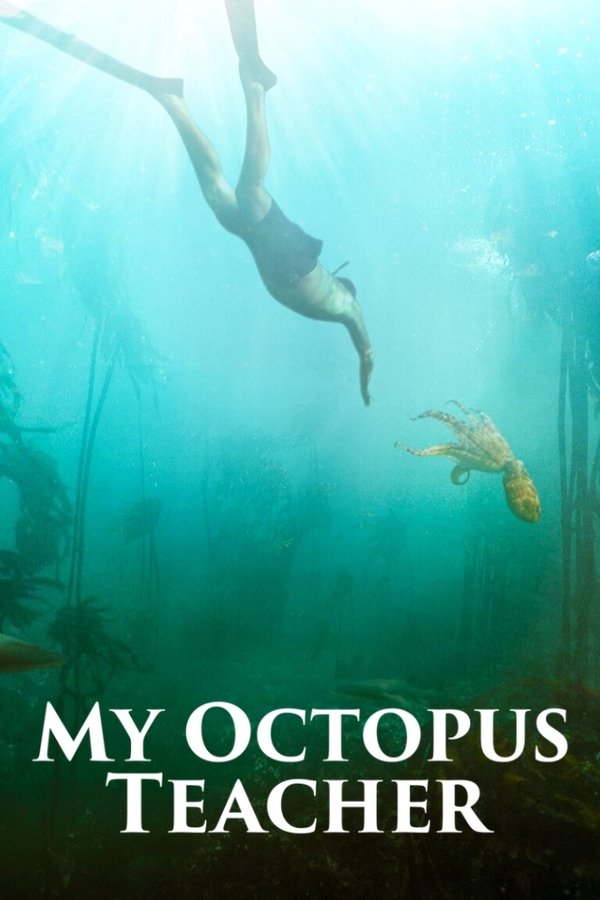 After years of swimming every day in the freezing ocean at the tip of Africa, Craig Foster meets an unlikely teacher: a young octopus who displays remarkable curiosity. Visiting her den and tracking her movements for months on end he eventually wins the animal’s trust and they develop a never-before-seen bond between human and wild animal.