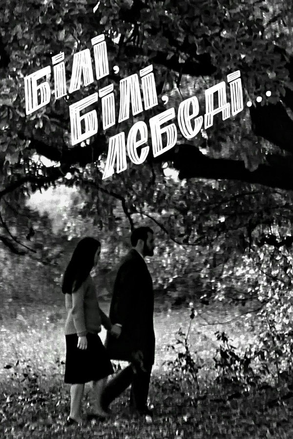 Білі, білі лебеді...