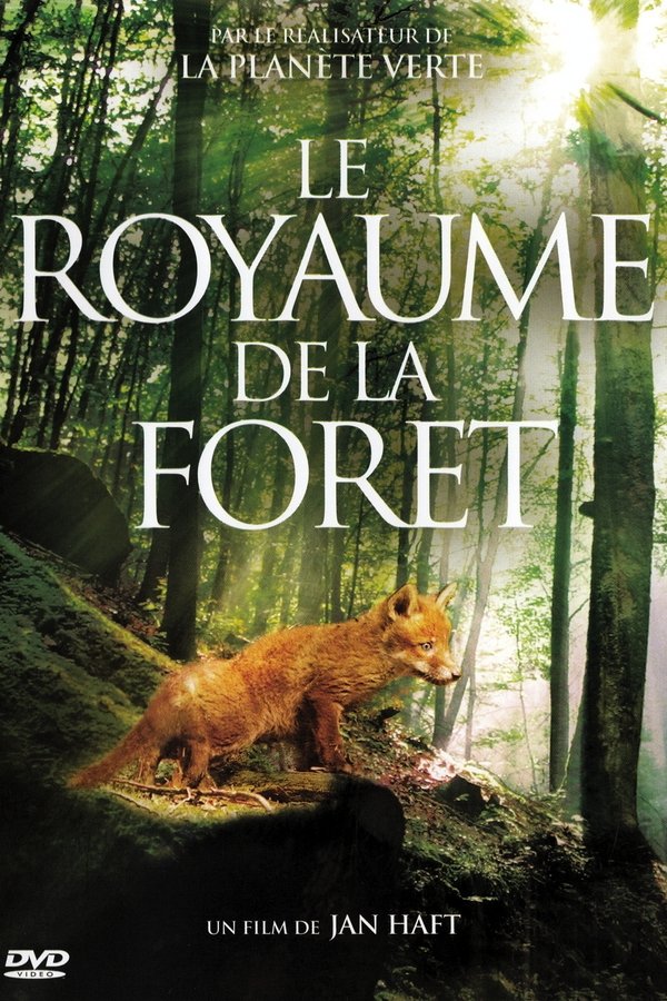 Mythos Wald poster