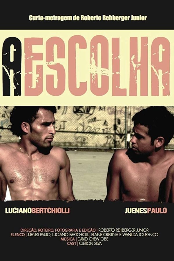 A escolha (2011)