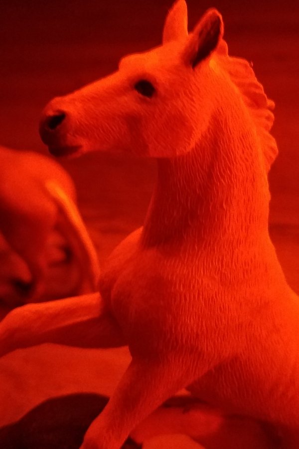 Profile