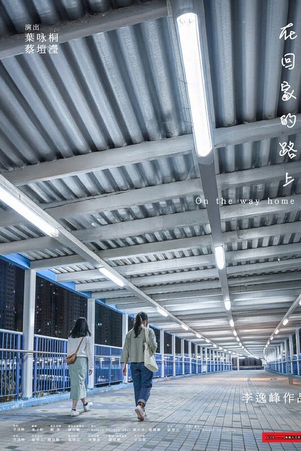 On the Way Home poster