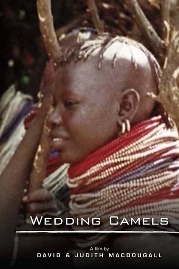 The Wedding Camels poster