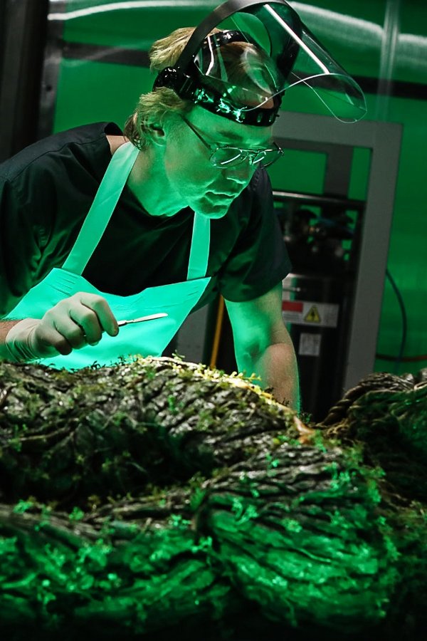 Swamp Thing – S01E09 – Lezioni di Anatomia