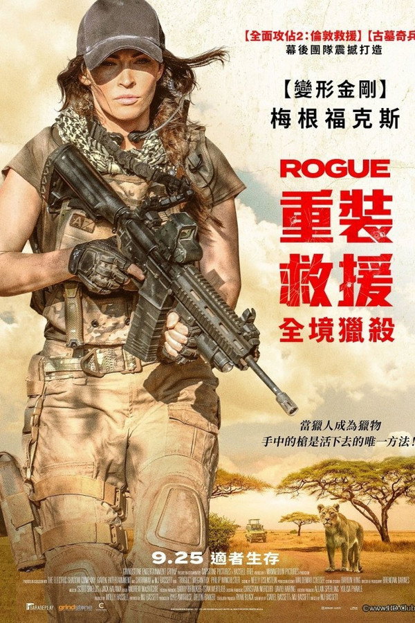 侠盗