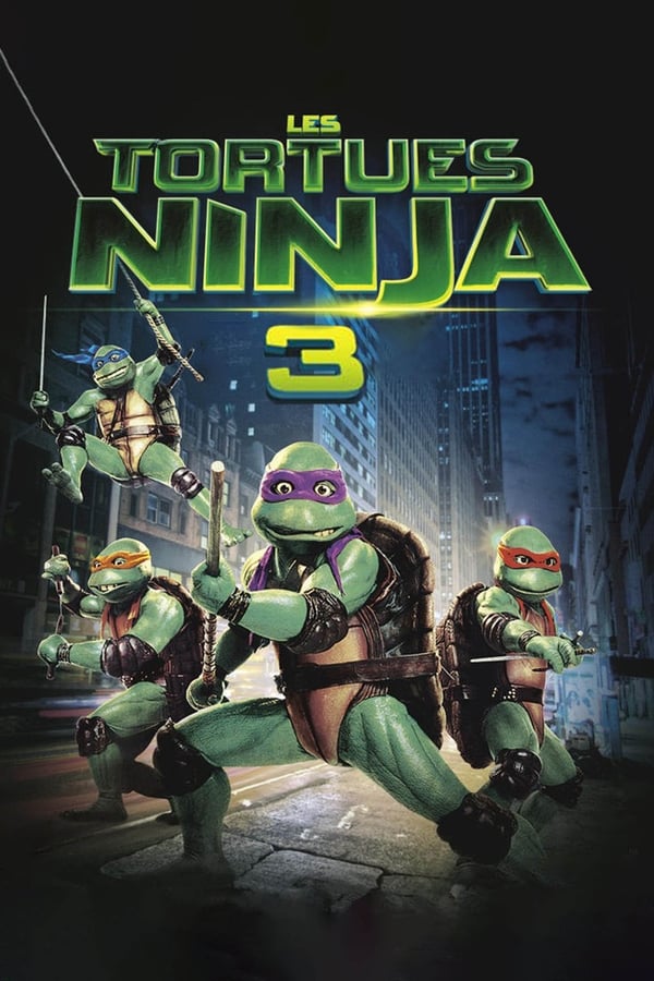 FR - Teenage Mutant Ninja Turtles III  (1993)