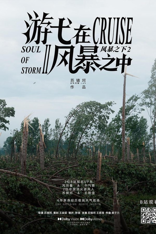 游弋在风暴之中