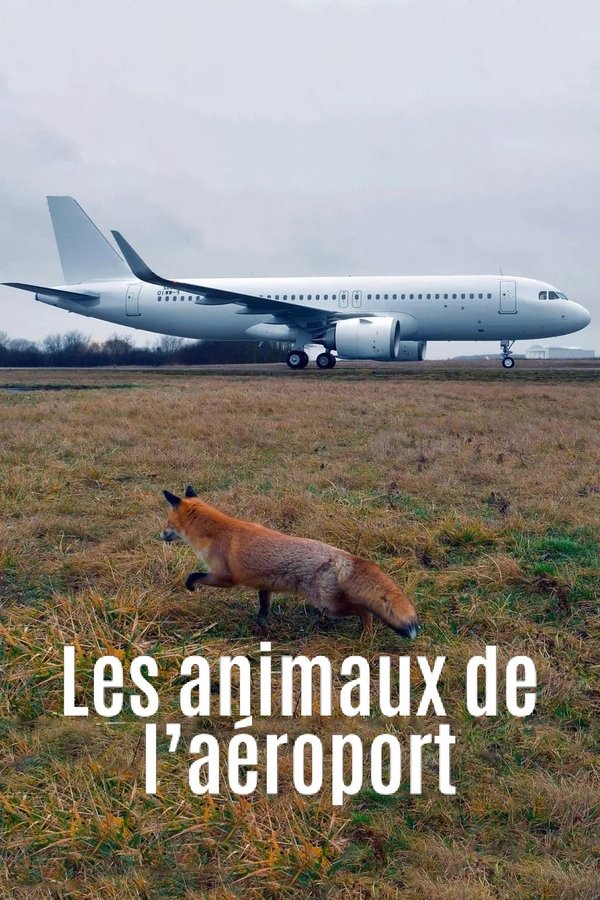 FR - Airport Animal Stories (2023)