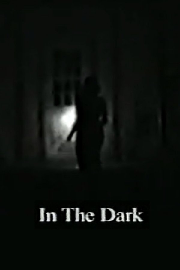 In the Dark poster