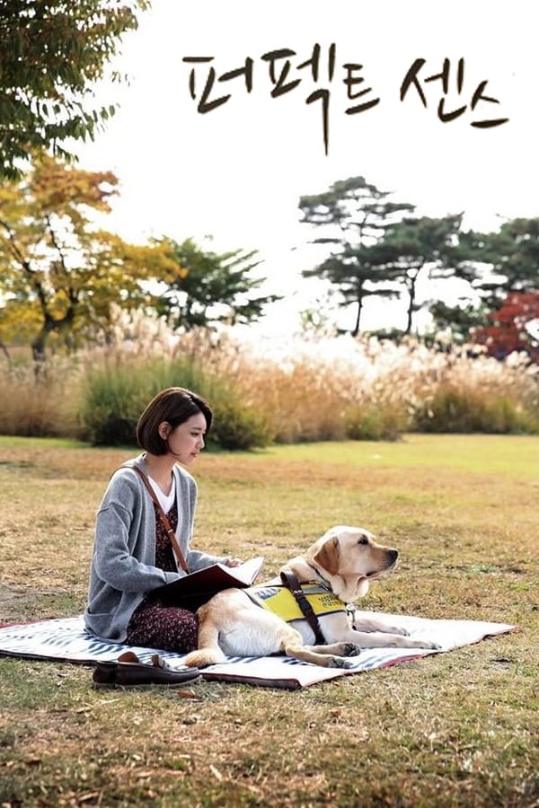 EN - Perfect Sense - 2016