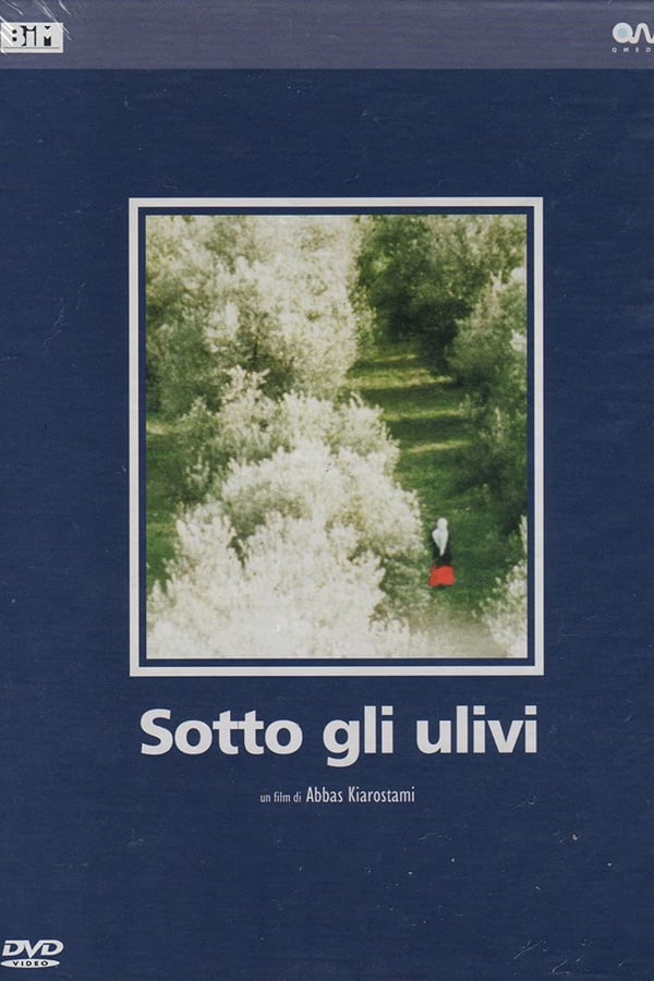 Sotto gli ulivi