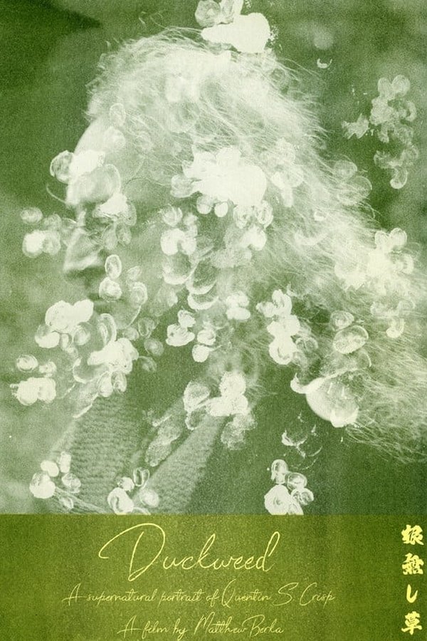 Duckweed