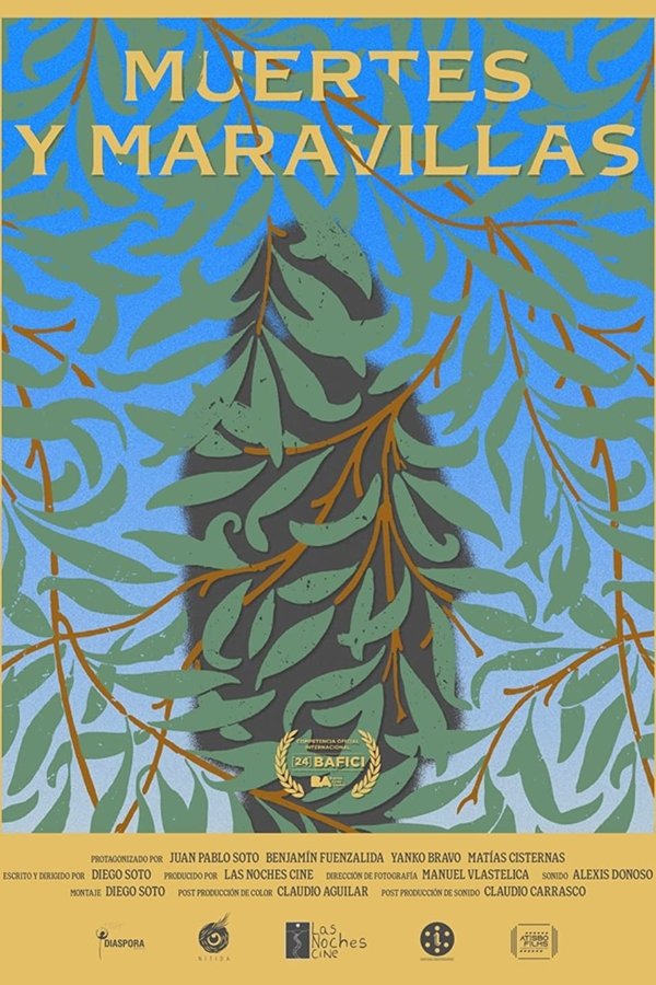 Deaths and Wonders poster