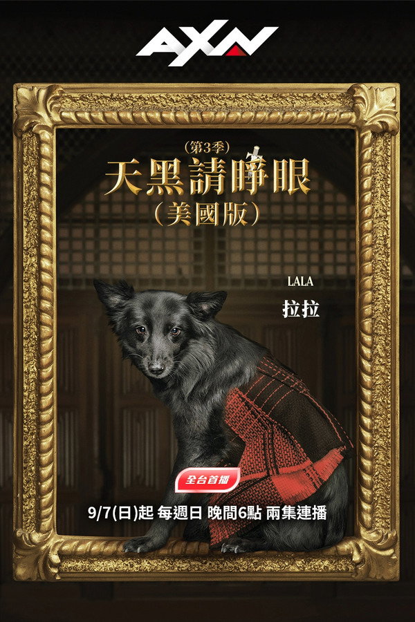叛徒第3季