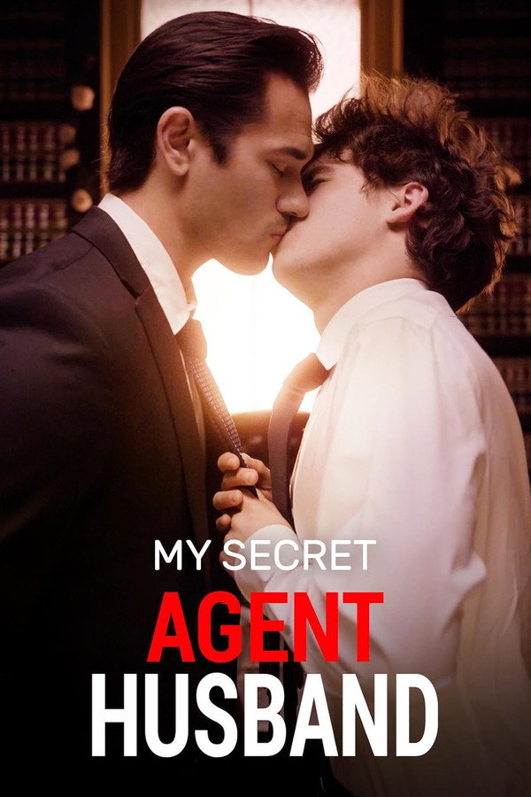 My Secret Agent Husband