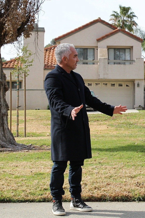 Cesar Millan: Melhores Humanos, Melhores Cachorros
