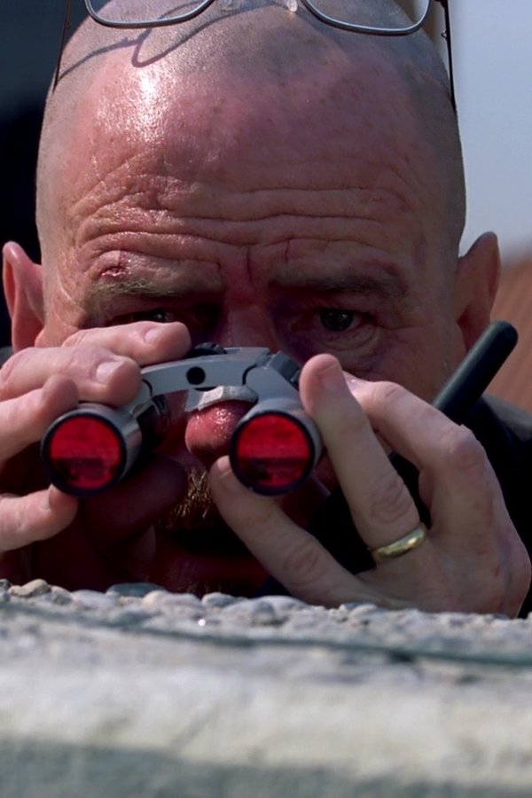 Breaking Bad – Reazioni collaterali – S04E12 – Cercando vendetta