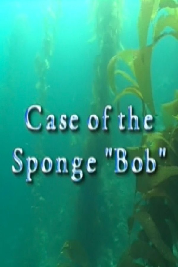 Case of the Sponge “Bob”