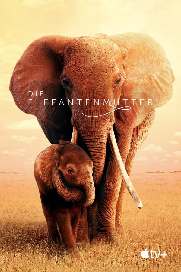 4K-DE - Die Elefantenmutter (2019)