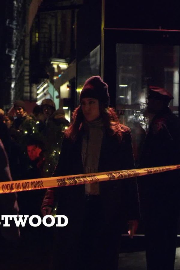 Blue Bloods – S01E20 – Un omicidio scomodo