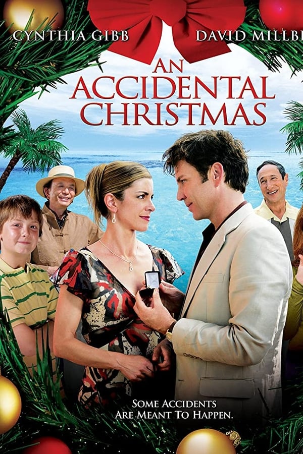 An Accidental Christmas (2007)