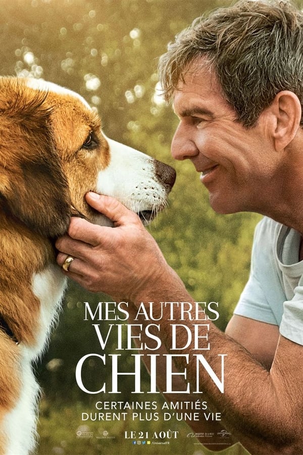 Certaines amitiés vont au-delà de la durée d’une vie. Dans Mes Autres Vies de Chien, Bailey, ce bon chien aimant, trouve au travers de sa nouvelle destinée et de ses nouvelles formes cette force qui le guidera lui et les personnes qu’il aime vers des lieux qu’ils n’auraient jamais imaginés.