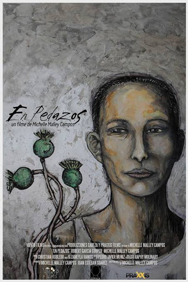 En pedazos