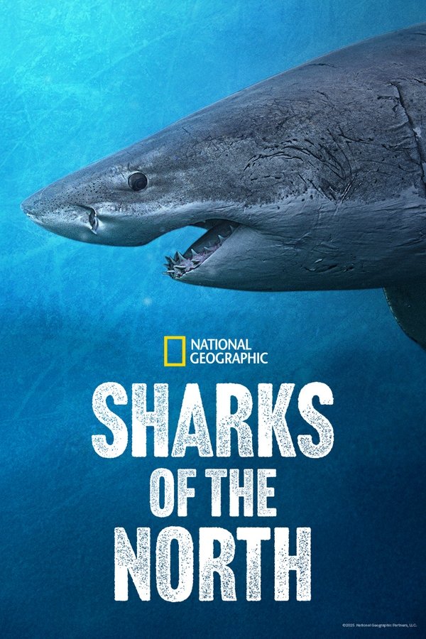Sharks of the North Poster