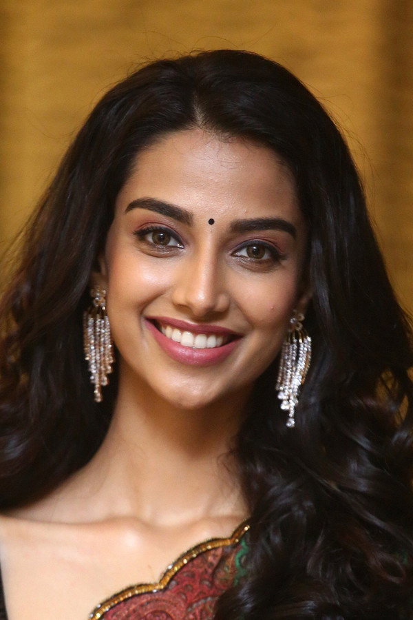 Meenakshi Chaudhary's headshot