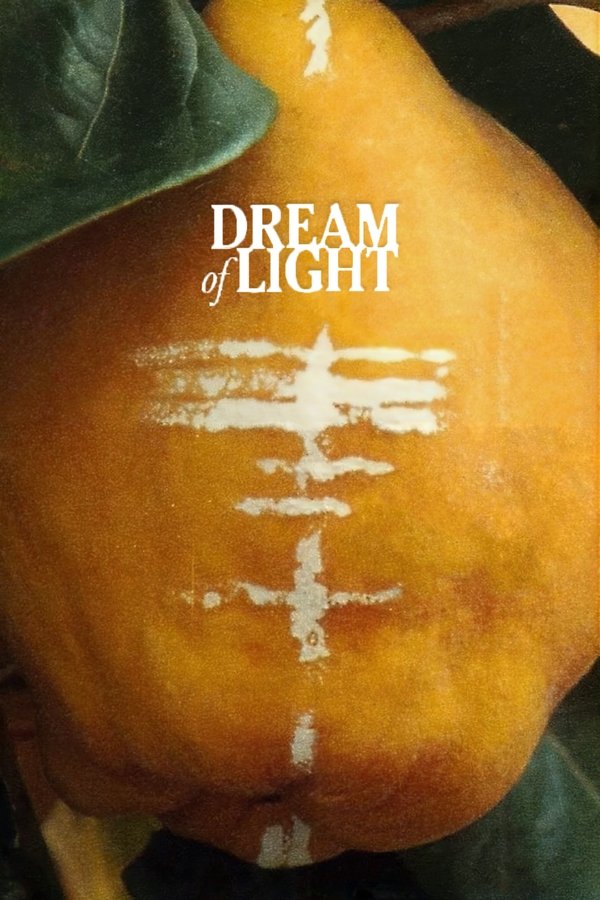 Dream of Light
