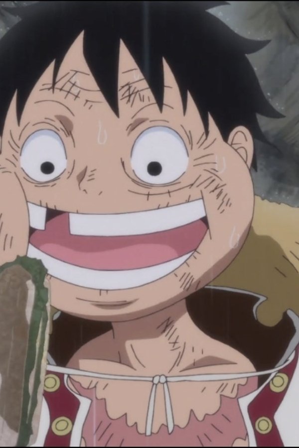 One Piece: All’arrembaggio! – S19E825 – Bugiardo – Rufy e Sanji