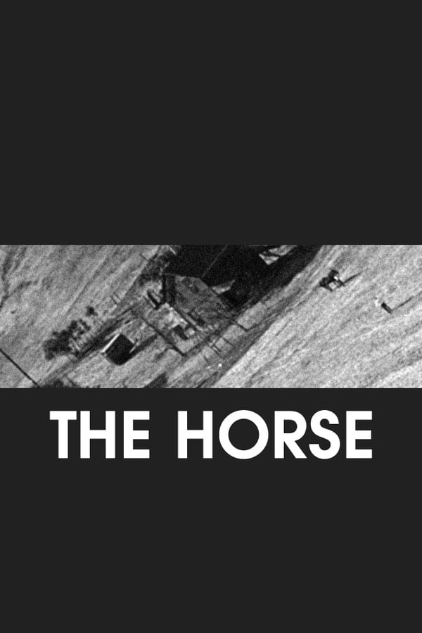 The Horse