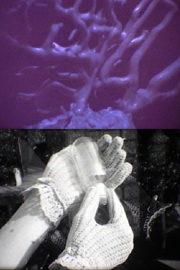 Her* Hands and His Forms (2022)