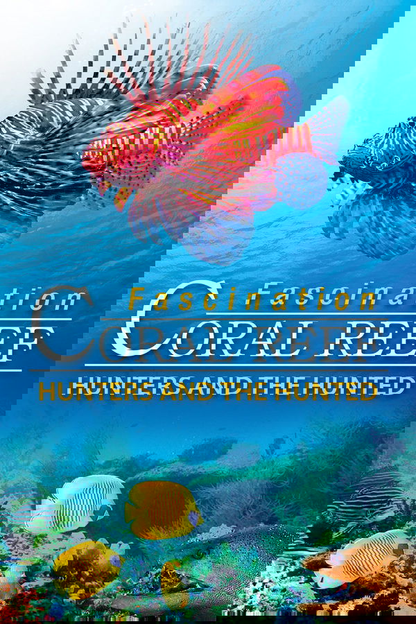 Fascination Coral Reef: Hunters and the Hunted
