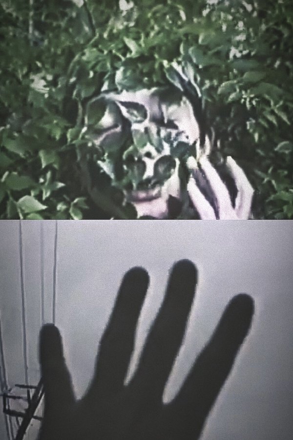 Emotional Gel Scenery