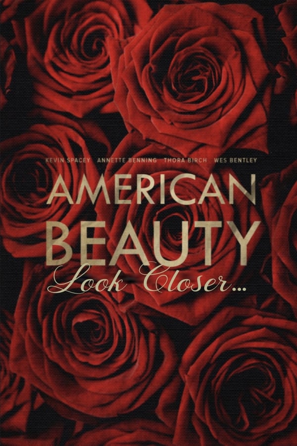 American Beauty: Look Closer…