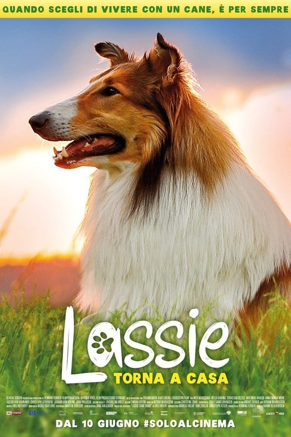 IT: Lassie torna a casa (2020)