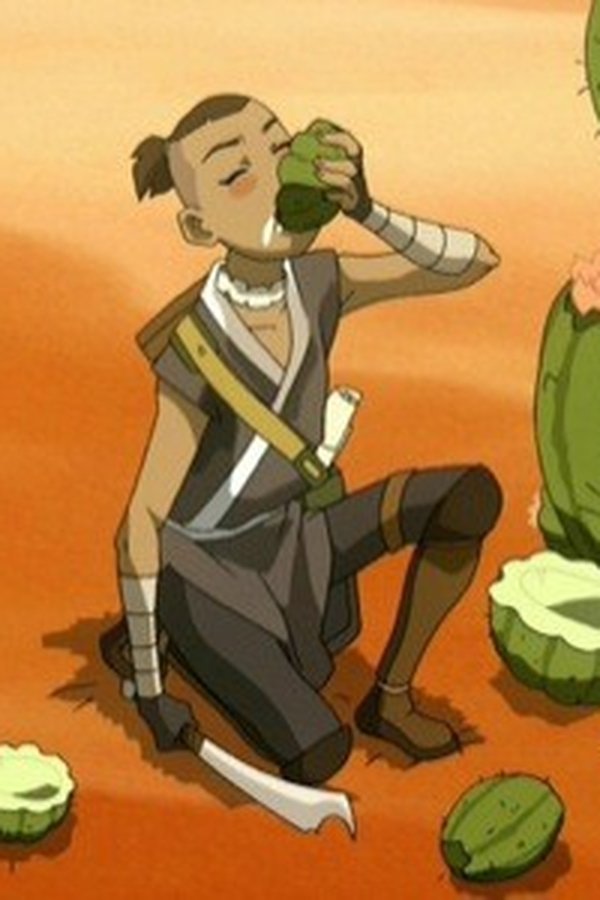 Avatar – La leggenda di Aang – S02E11 – Il deserto