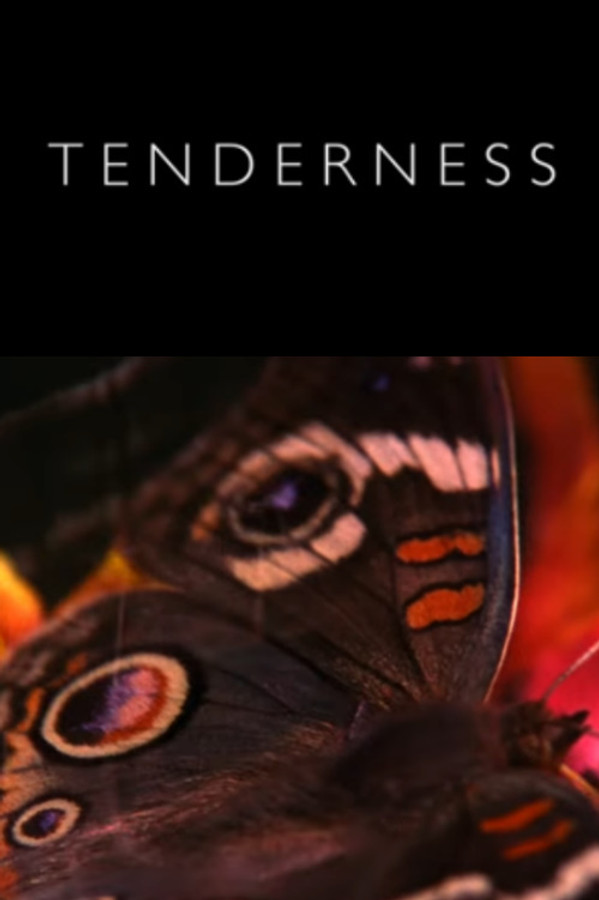 IT - Tenderness - 2017