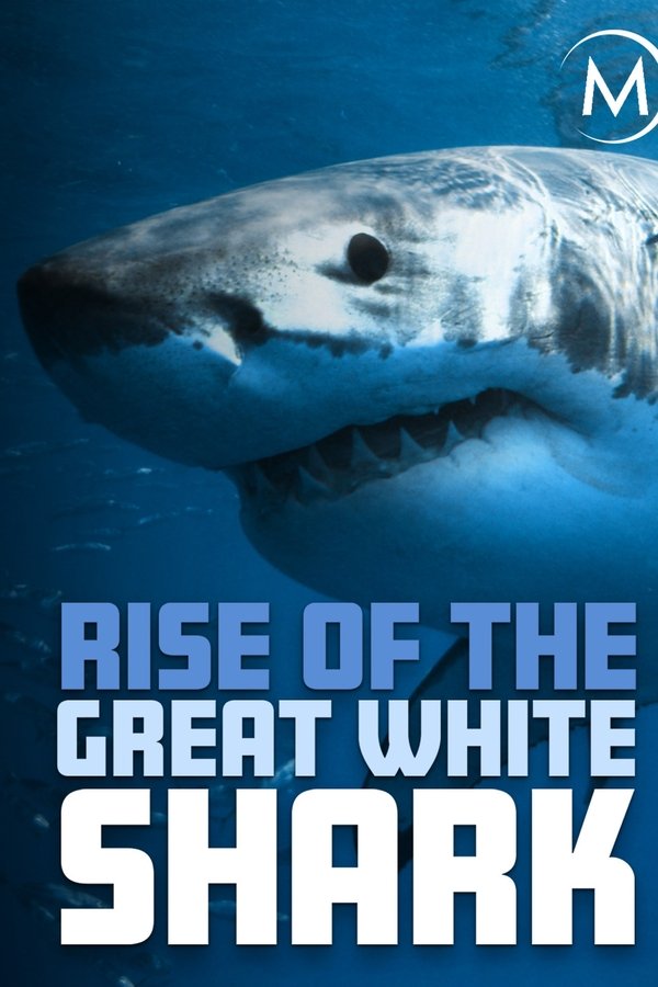 Rise Of The Great White Shark poster