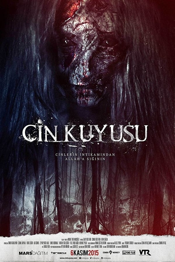 Cin Kuyusu