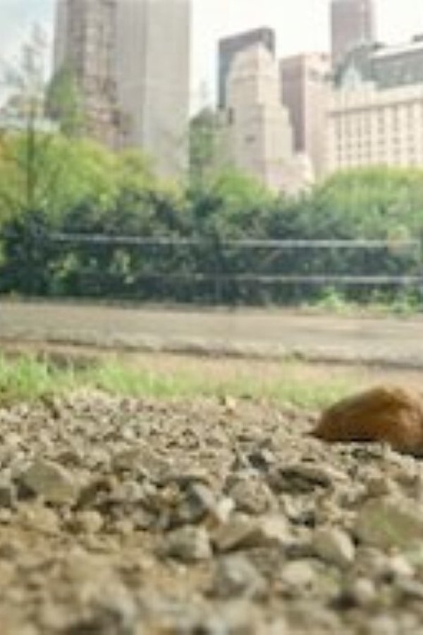 Piccole creature – S01E02 – Episodio 2