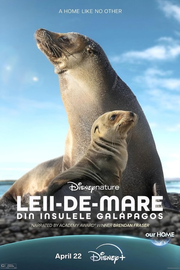 Leii-de-mare din Insulele Galápagos