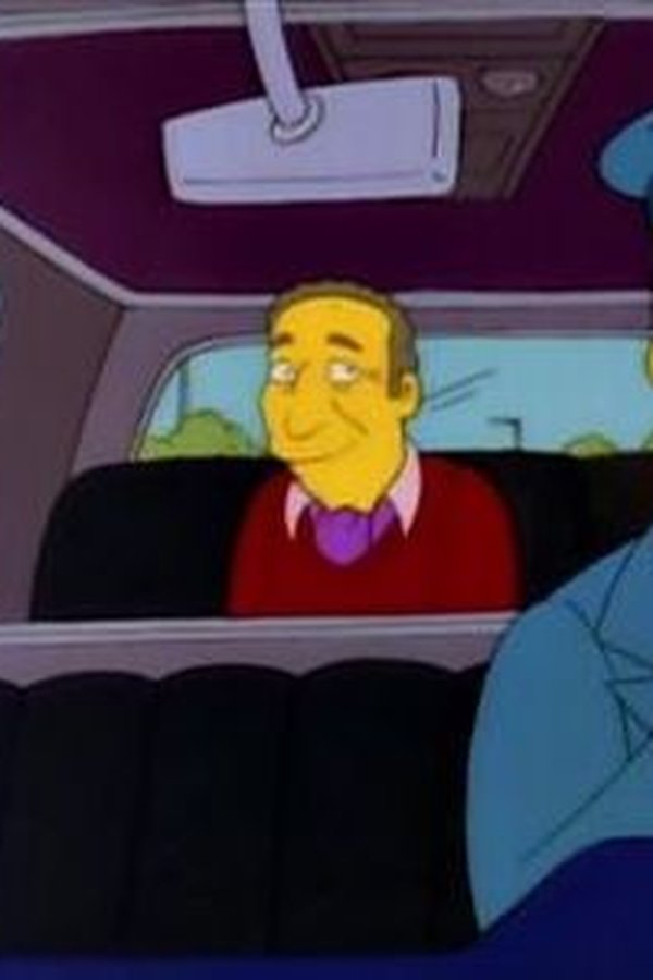 I Simpson – S06E17 – Homer contro Patty e Selma