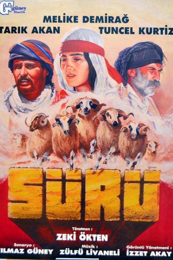 Sürü