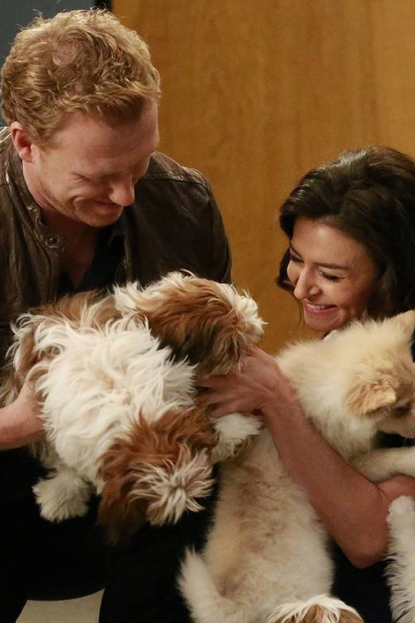 Grey’s Anatomy – S12E14 – Fuori posto