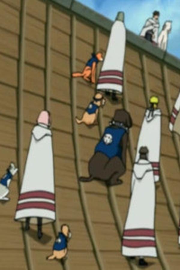 Naruto Shippuden – S06E122 – Inizia la caccia