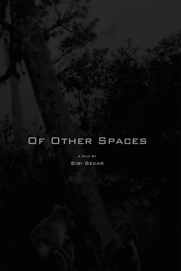 Of Other Spaces
