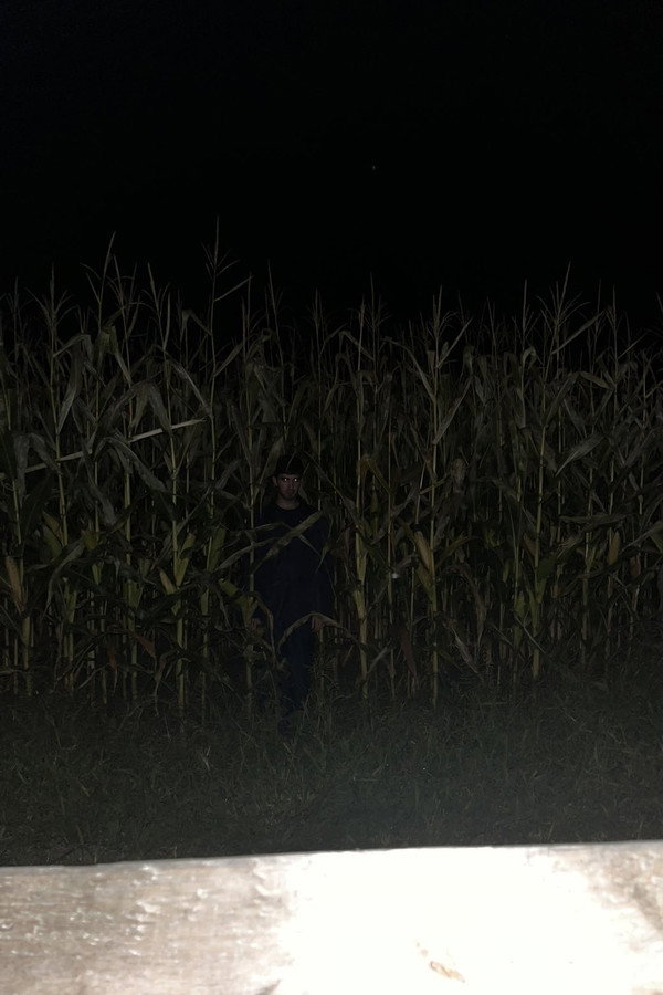 STALKED
