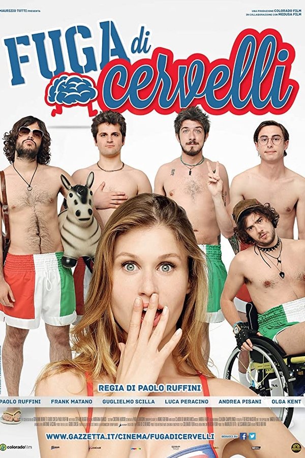 IT - Fuga di cervelli - 2013